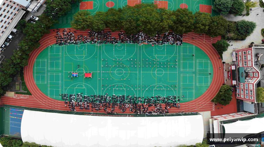 如意彩官网汇聚力量，追逐梦想！